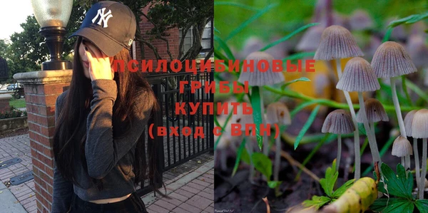 PSILOCYBIN Богородск