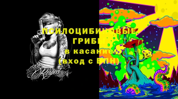 дживик Беломорск