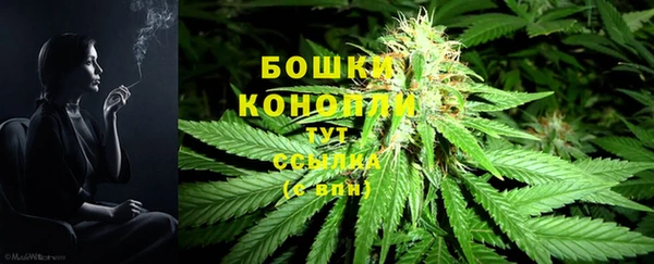 дживик Беломорск